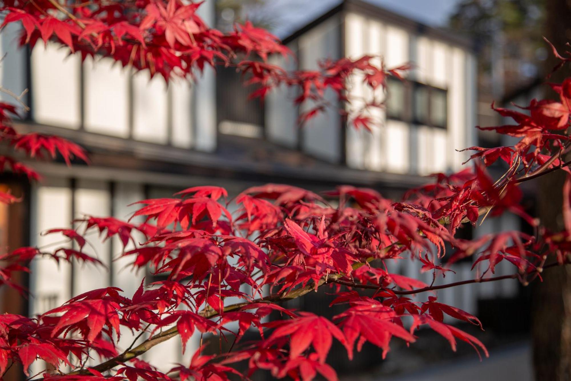 Glamping Villa Hanz Kawaguchiko Fujikawaguchiko Kamer foto