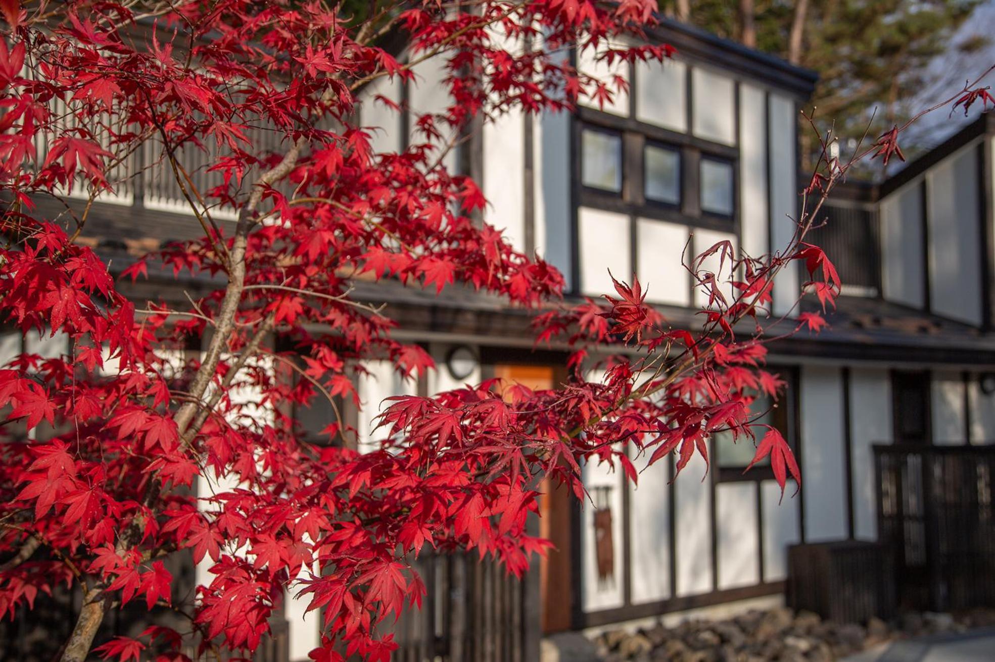 Glamping Villa Hanz Kawaguchiko Fujikawaguchiko Buitenkant foto